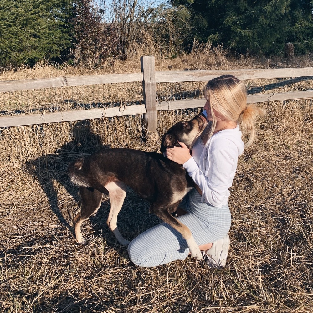 Pacsun blue plaid pants